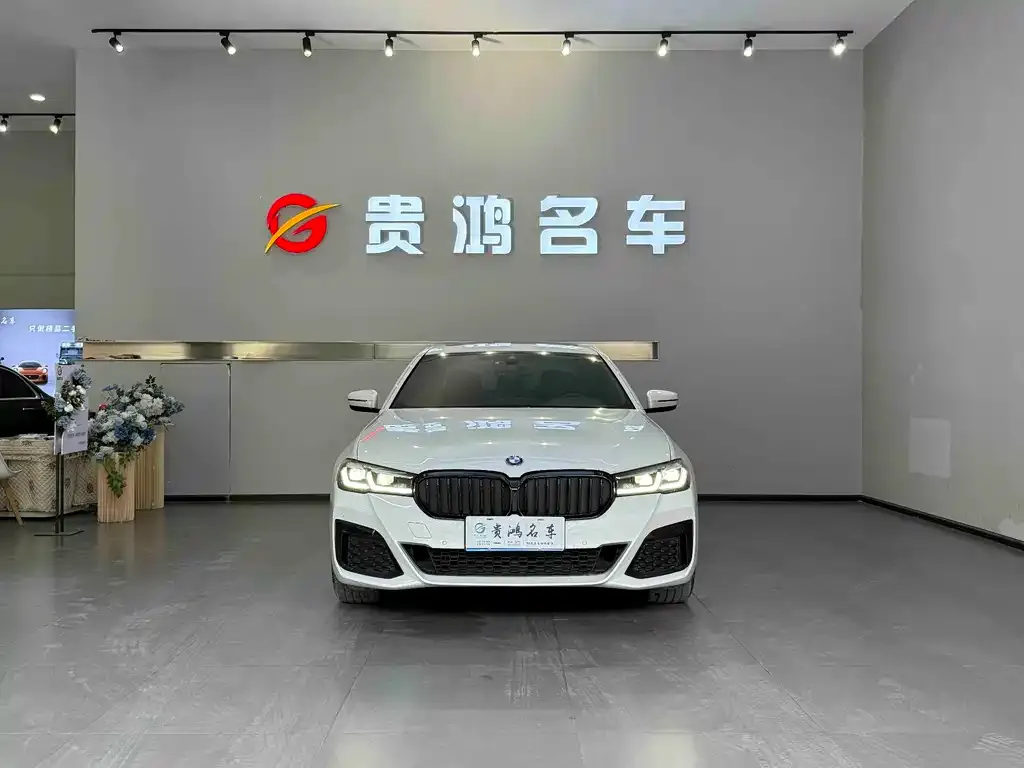 BMW 5 Series 2023 из CN, фото 3