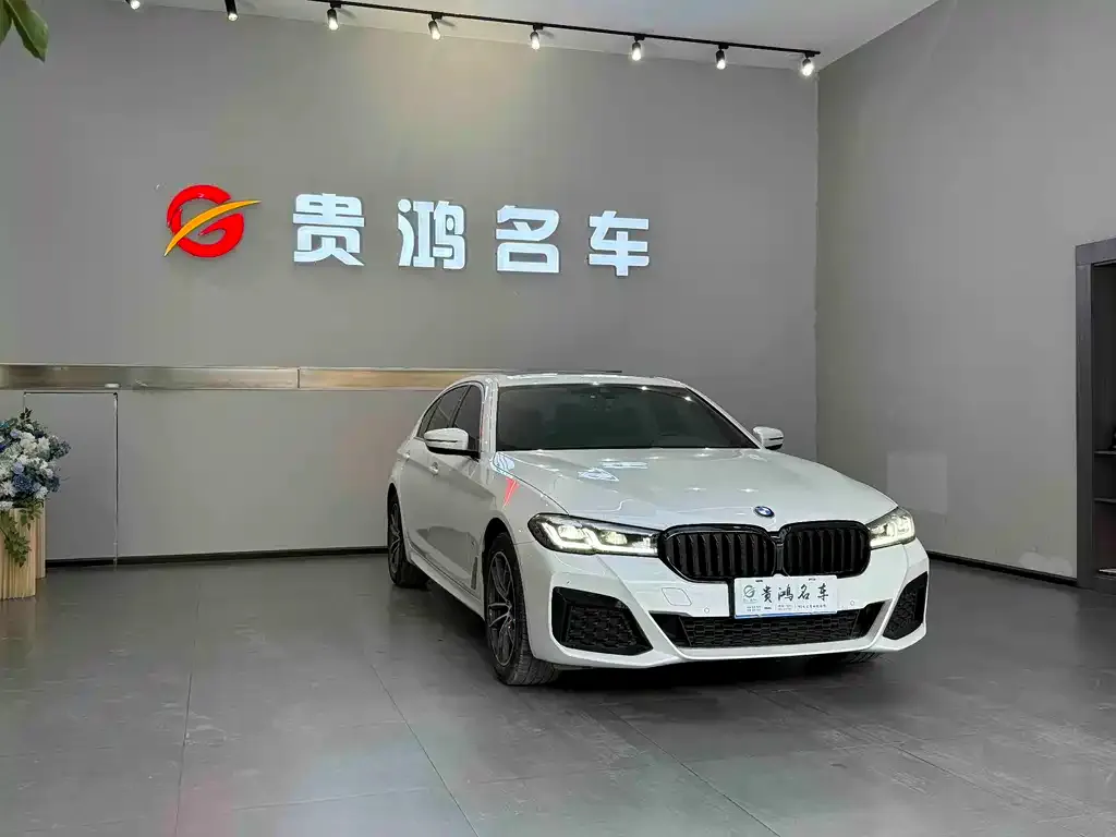 BMW 5 Series 2023 из CN, фото 2