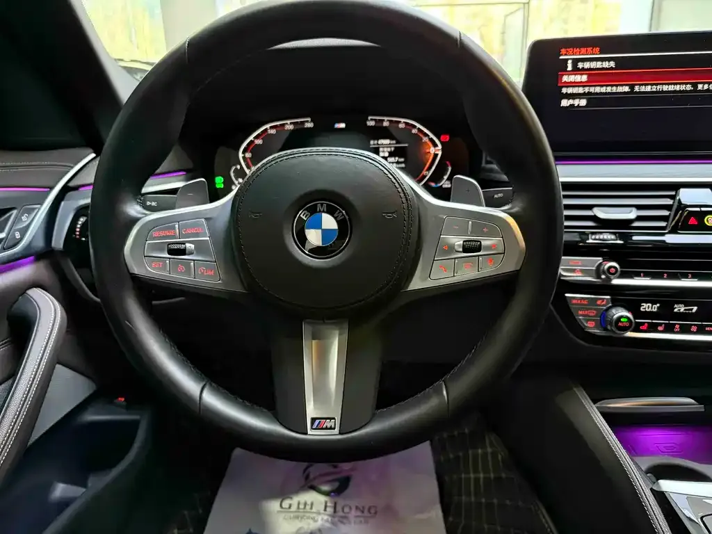BMW 5 Series 2023 из CN, фото 6