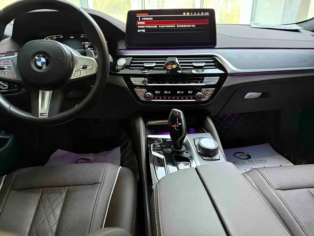 BMW 5 Series 2023 из CN, фото 9