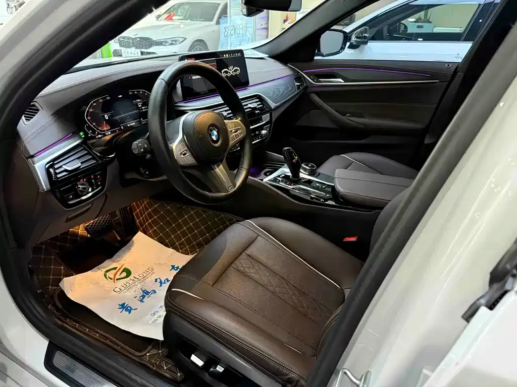 BMW 5 Series 2023 из CN, фото 7