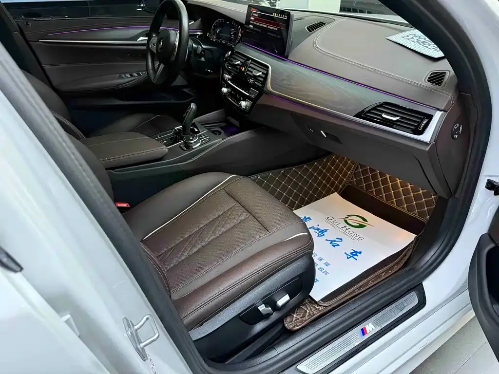 BMW 5 Series 2023 из CN, фото 8