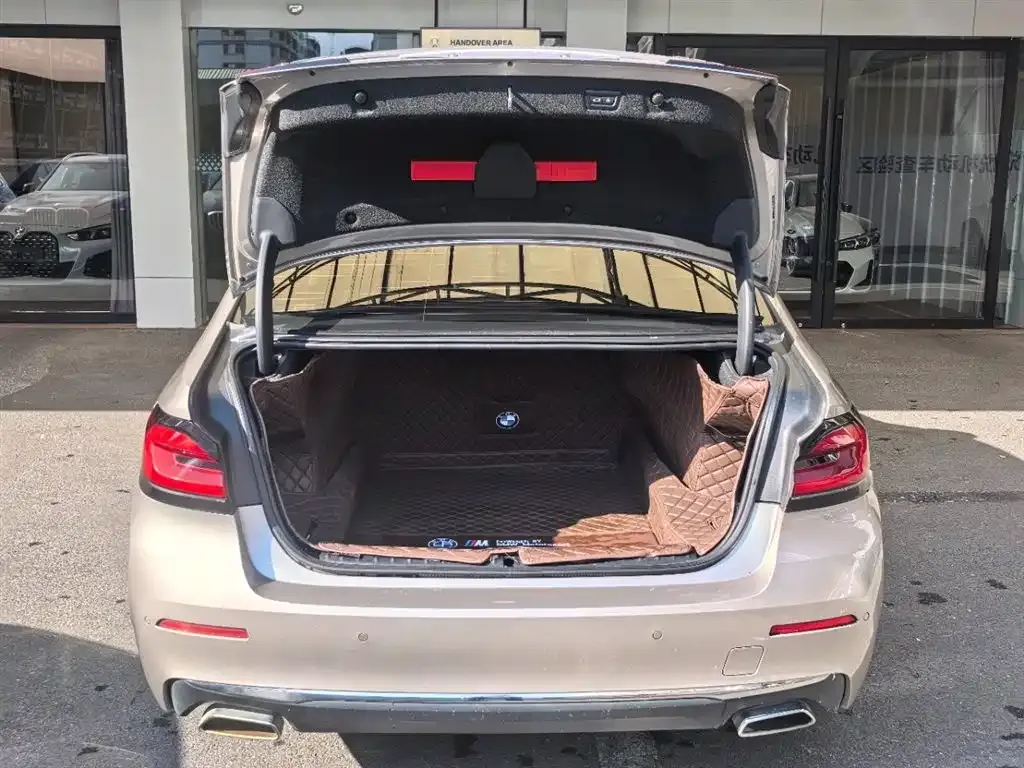 BMW 5 Series 2022 из CN, фото 7