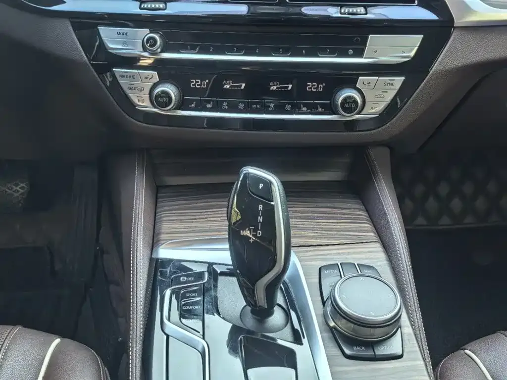 BMW 5 Series 2022 из CN, фото 4