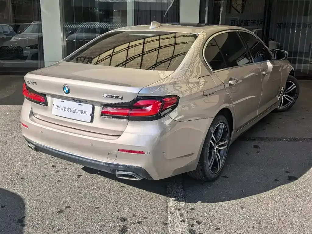 BMW 5 Series 2022 из CN, фото 5