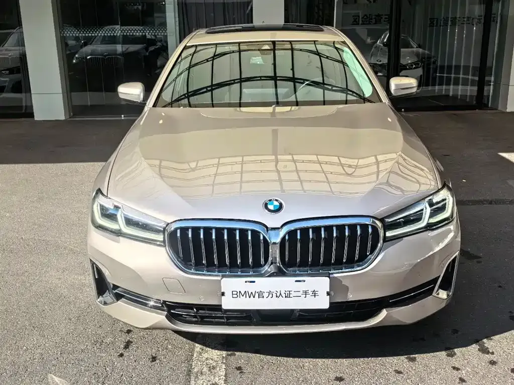 BMW 5 Series 2022 из CN, фото 9