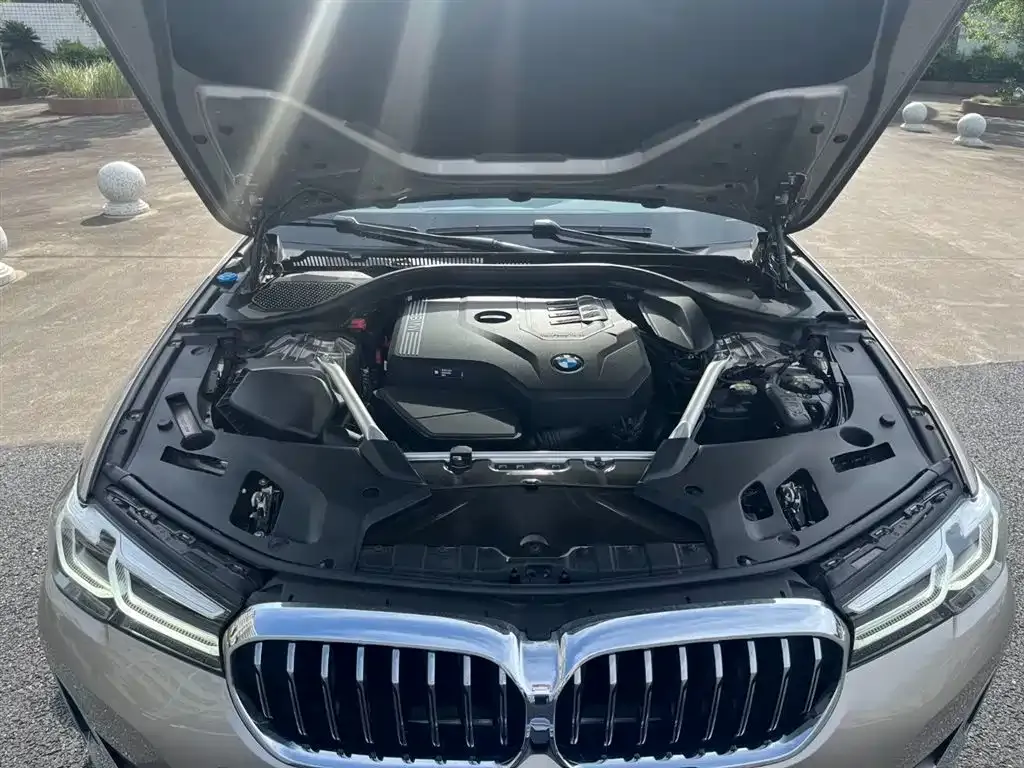 BMW 5 Series 2022 из CN, фото 3