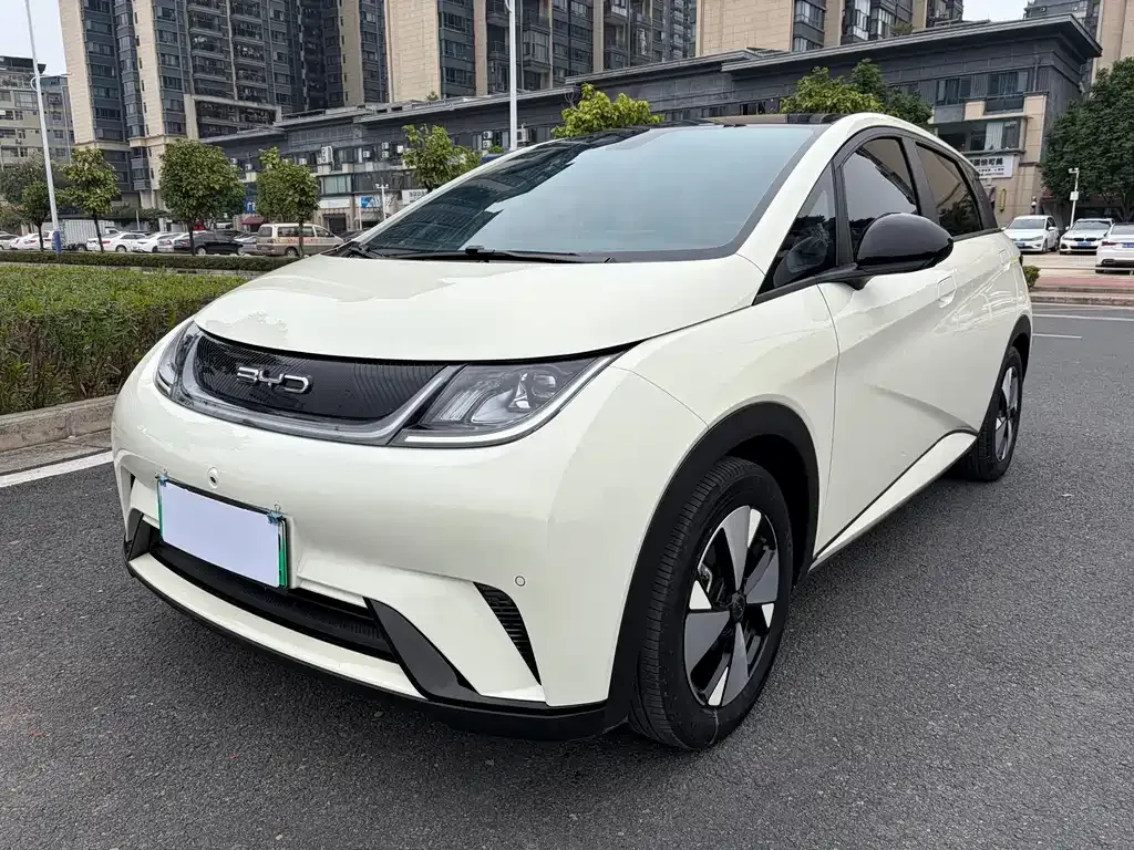 BYD Dolphin 2023 из CN, фото 1