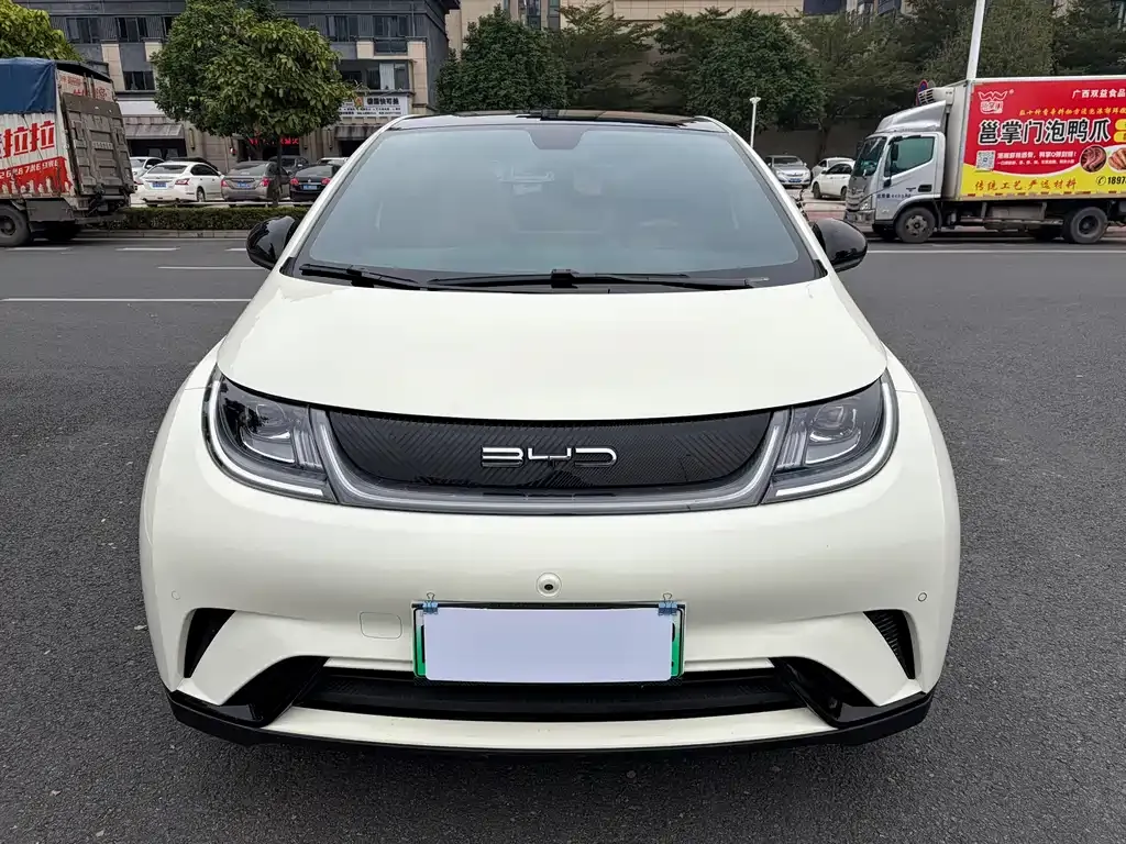 BYD Dolphin 2023 из CN, фото 6