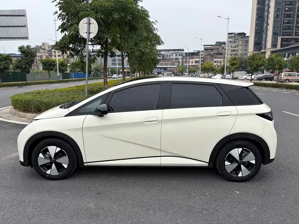 BYD Dolphin 2023 из CN, фото 9