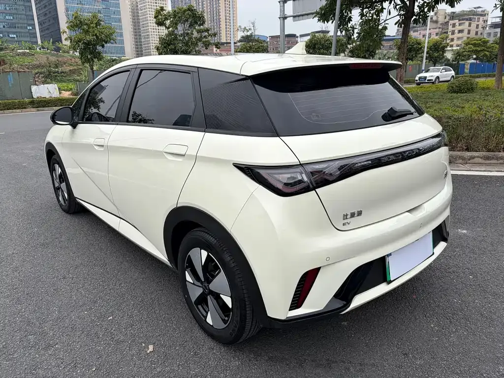 BYD Dolphin 2023 из CN, фото 10