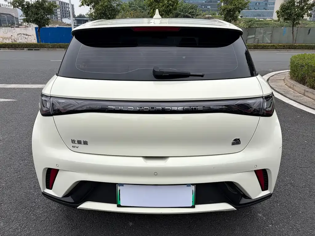 BYD Dolphin 2023 из CN, фото 8