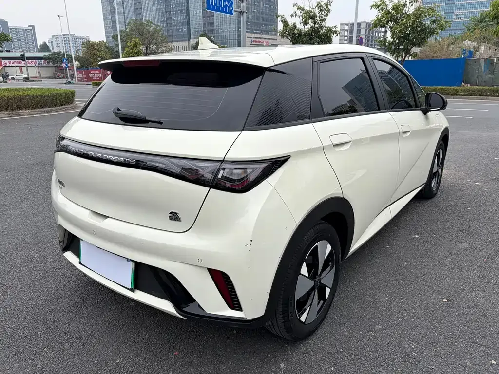 BYD Dolphin 2023 из CN, фото 7