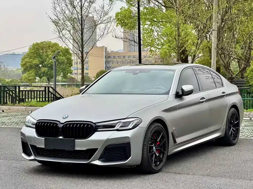 BMW 5 Series (Import) 2021 из CN, фото 1