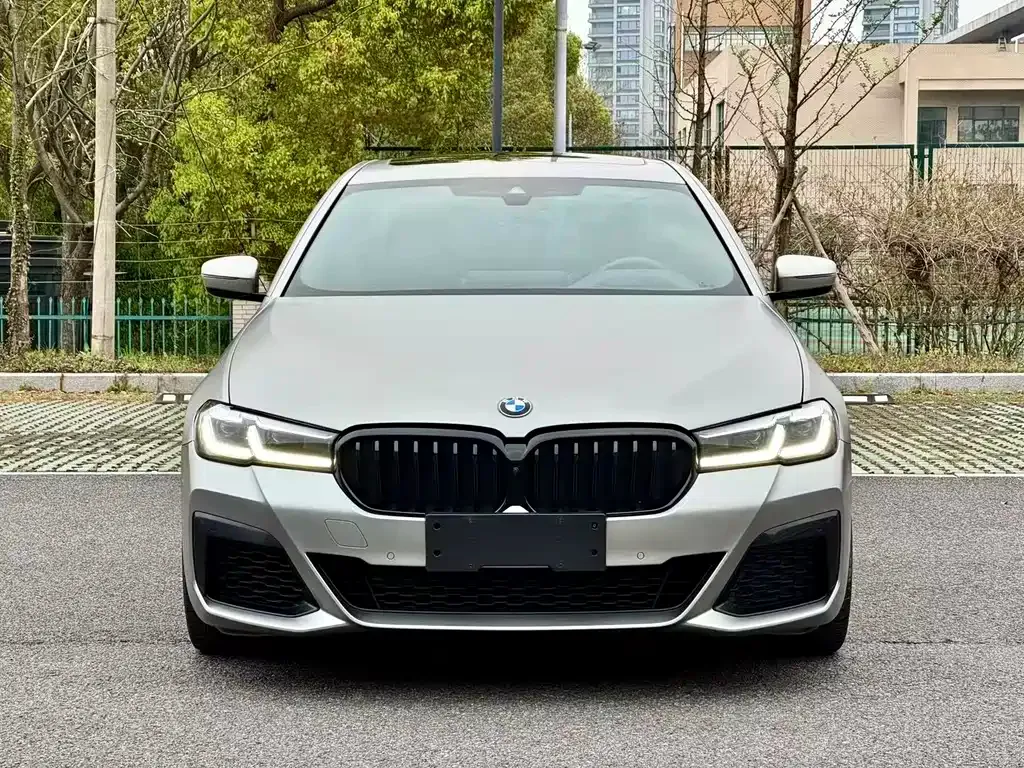 BMW 5 Series (Import) 2021 из CN, фото 5