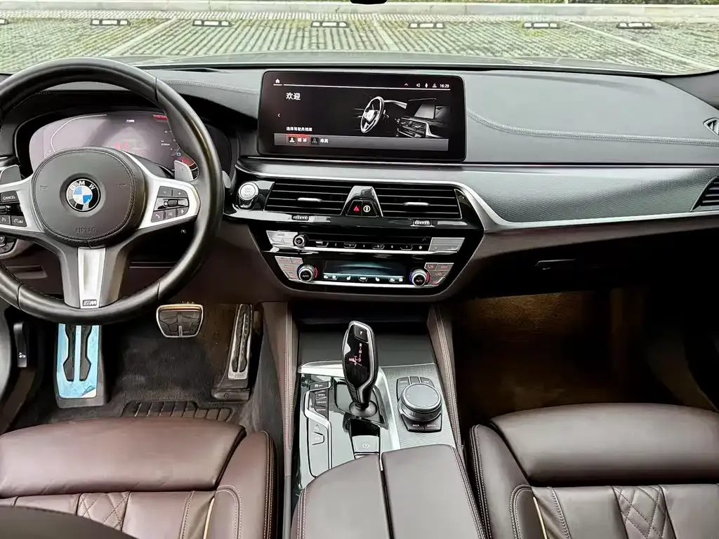 BMW 5 Series (Import) 2021 из CN, фото 10