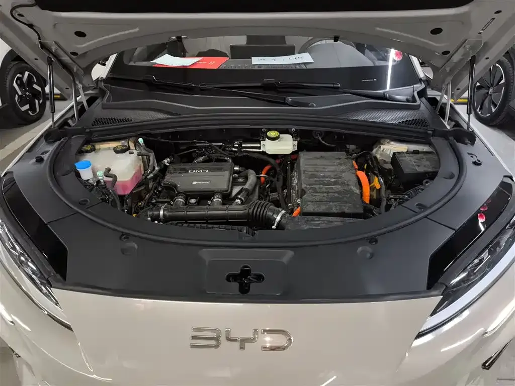 BYD PLUS New Energy 2025 из CN, фото 10