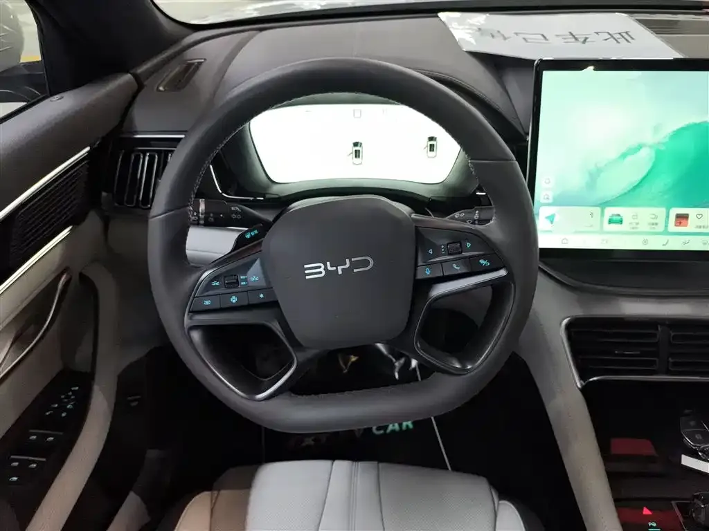 BYD PLUS New Energy 2025 из CN, фото 3