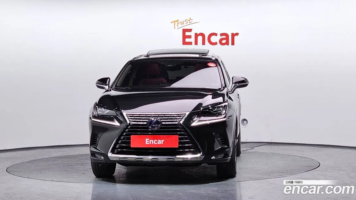 Lexus NX 2021 из KR, фото 3