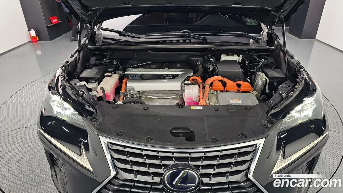 Lexus NX 2021 из KR, фото 6