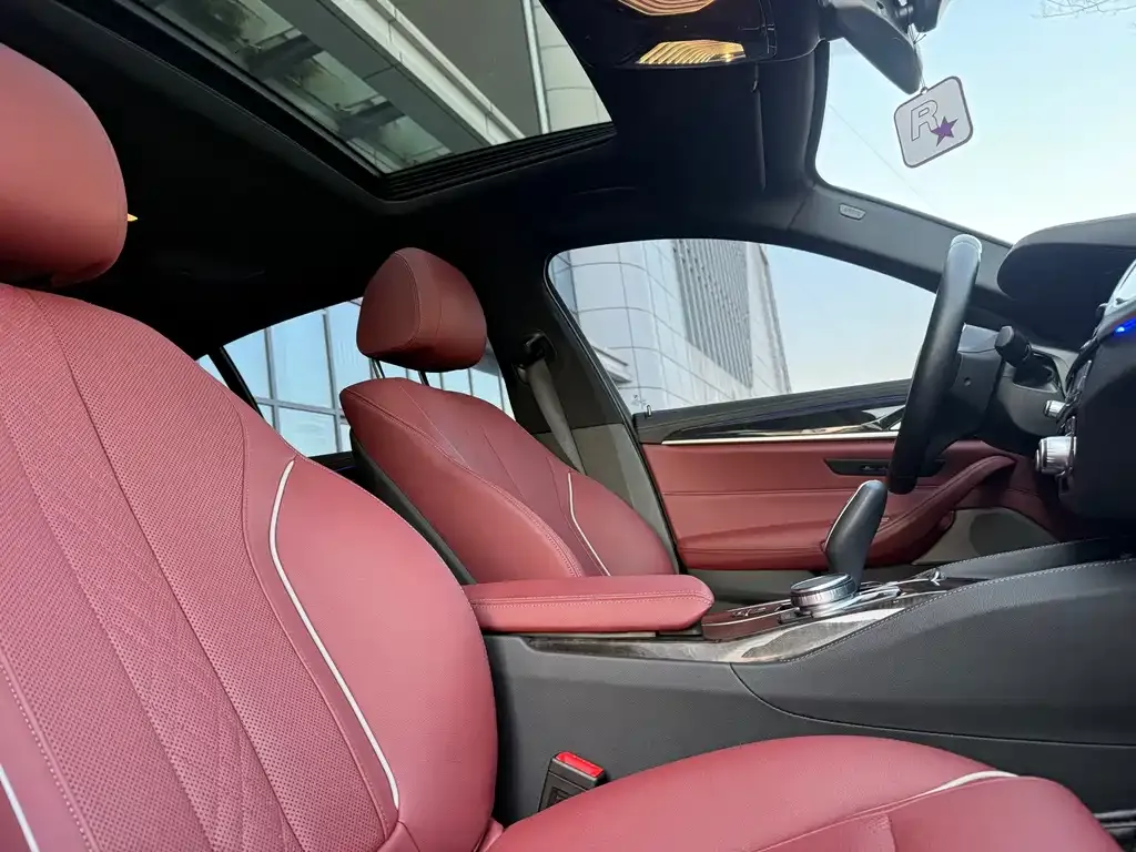 BMW 5 Series 2023 из CN, фото 6