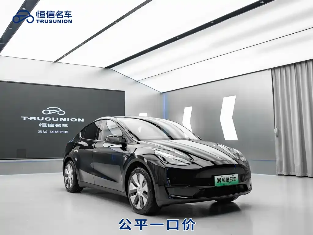Tesla Model Y 2023 из CN, фото 9