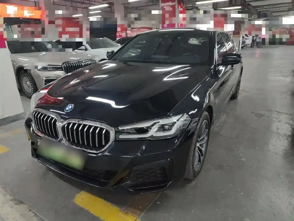 BMW 5 Series New Energy — фото 8