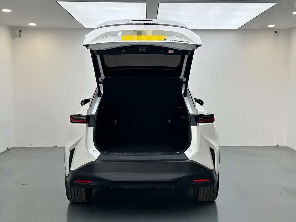 Lexus RZ 2023 из CN, фото 4