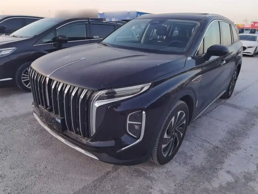 Hongqi HS7 PHEV 2024 из CN, фото 9