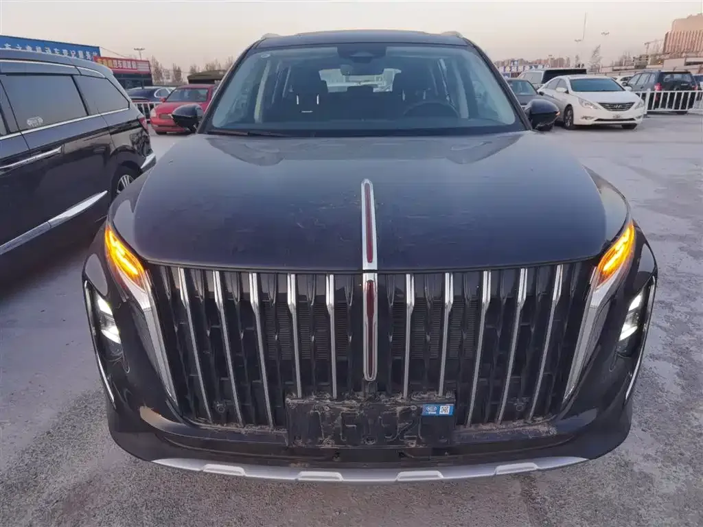 Hongqi HS7 PHEV 2024 из CN, фото 10