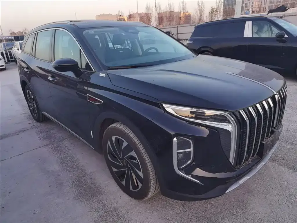 Hongqi HS7 PHEV 2024 из CN, фото 8
