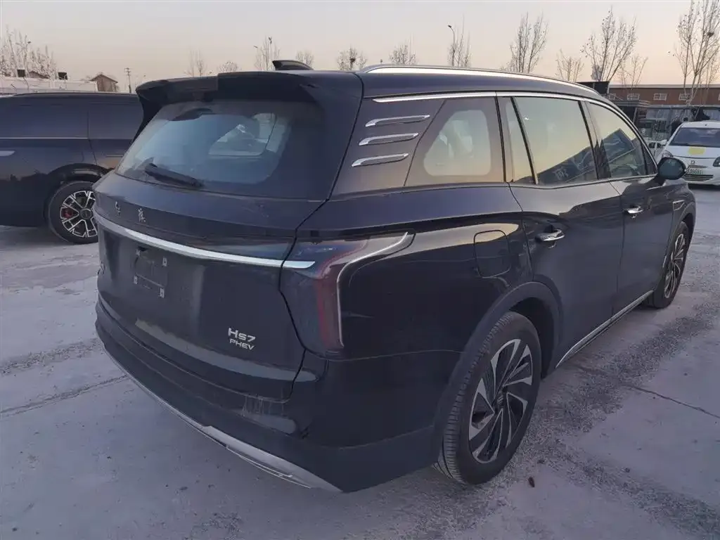 Hongqi HS7 PHEV 2024 из CN, фото 7