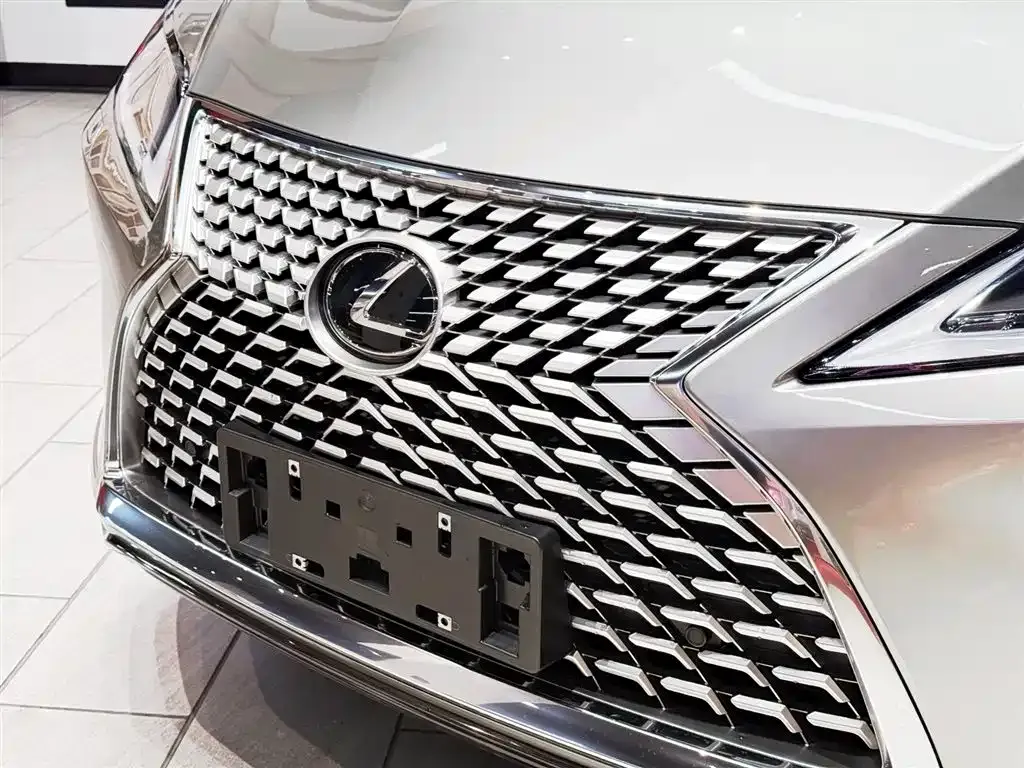 Lexus RX — фото 10