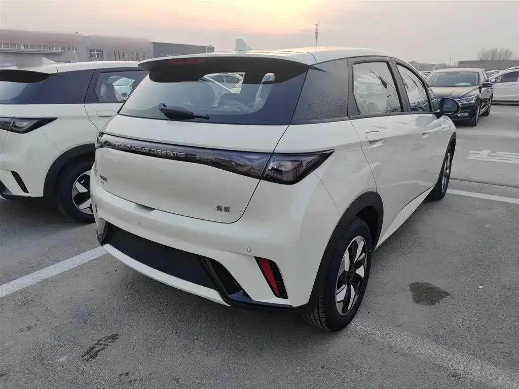 BYD Dolphin 2025 из CN, фото 3