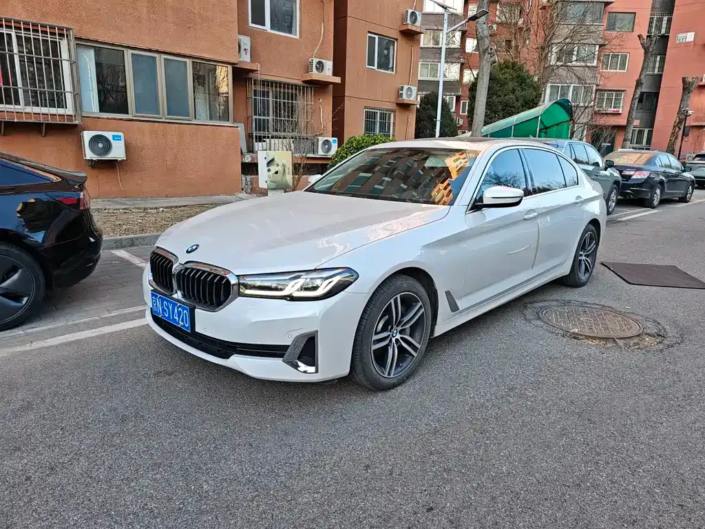 BMW 5 Series 2021 из CN, фото 1