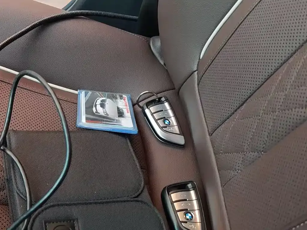 BMW 5 Series 2021 из CN, фото 3
