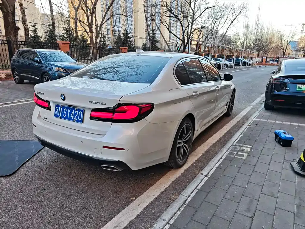 BMW 5 Series 2021 из CN, фото 10