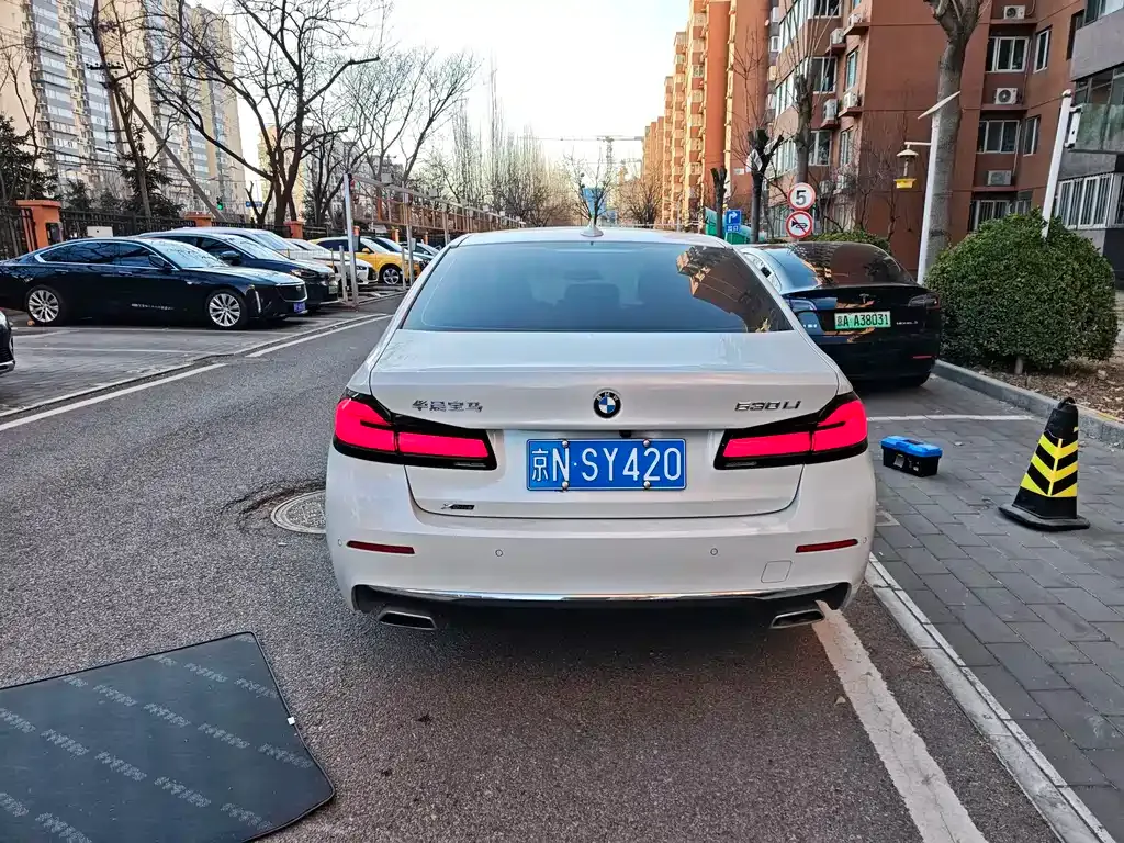 BMW 5 Series 2021 из CN, фото 4