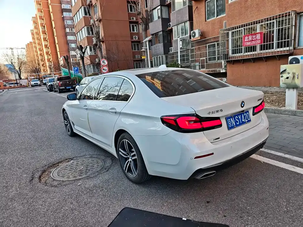 BMW 5 Series 2021 из CN, фото 9