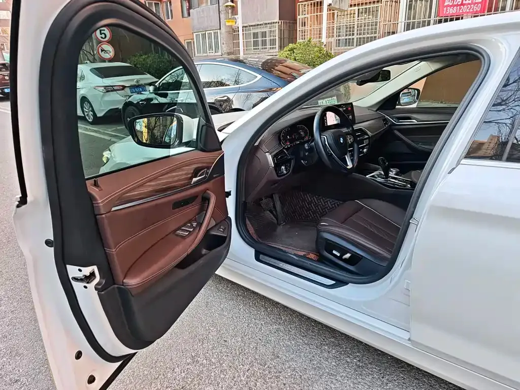 BMW 5 Series 2021 из CN, фото 5