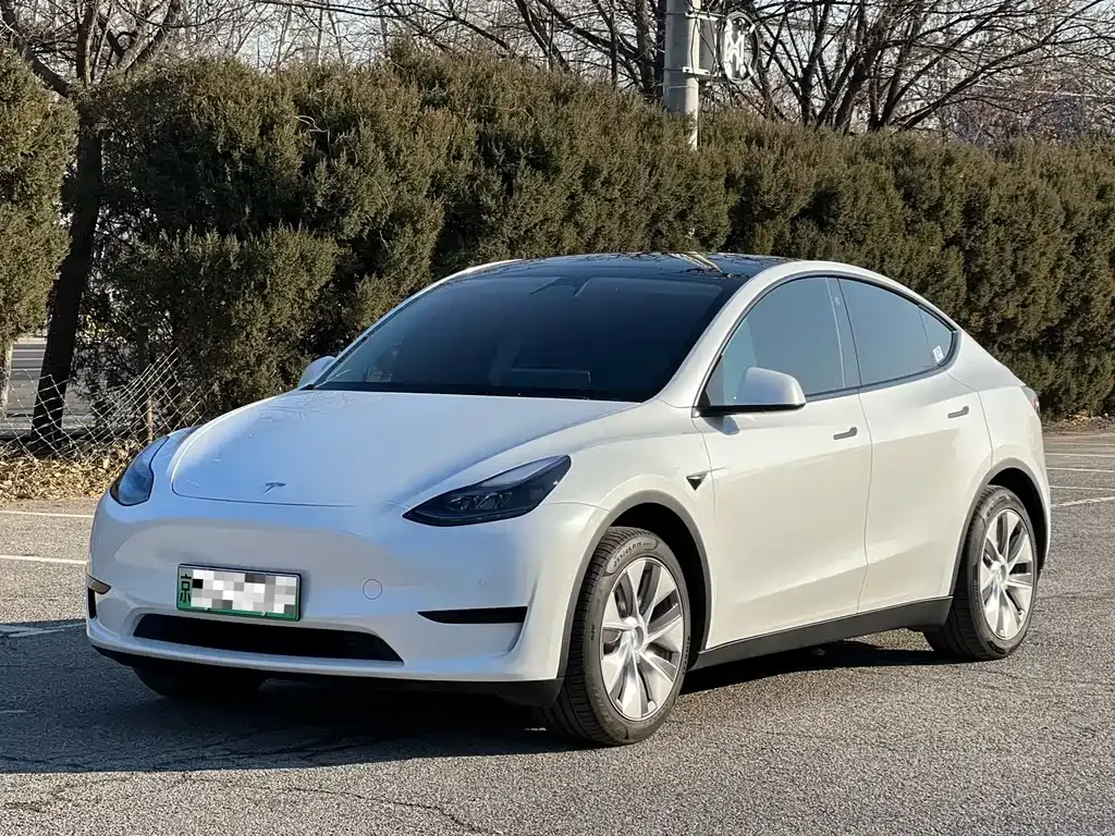 Tesla Model Y — фото 1