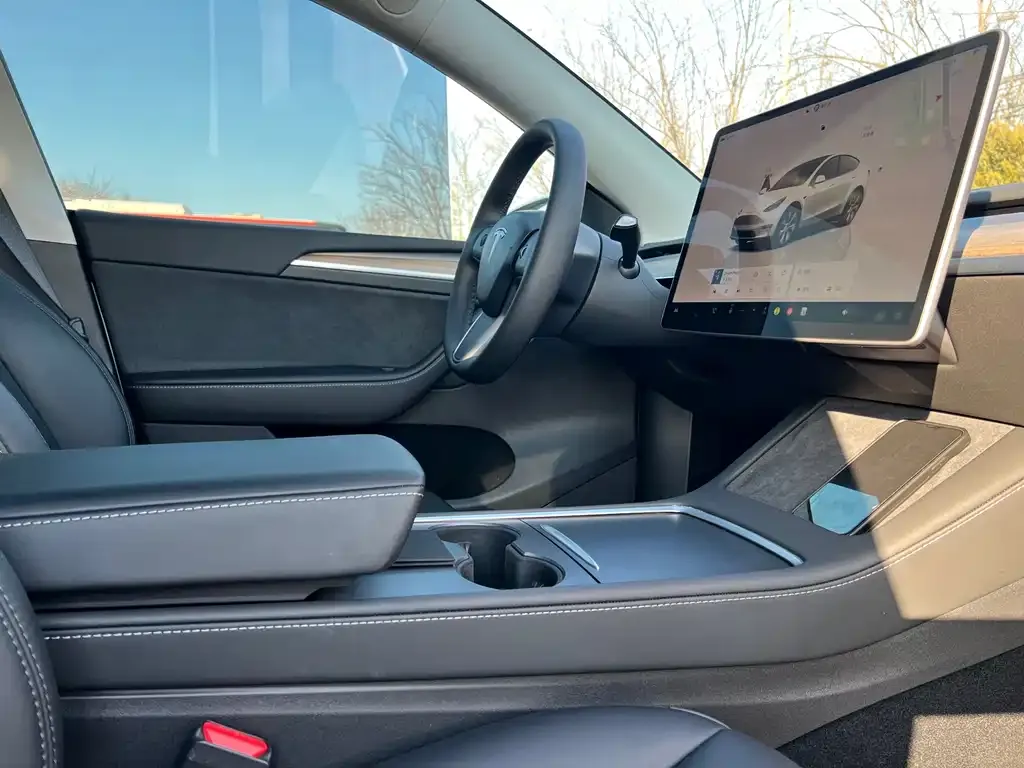 Tesla Model Y — фото 2
