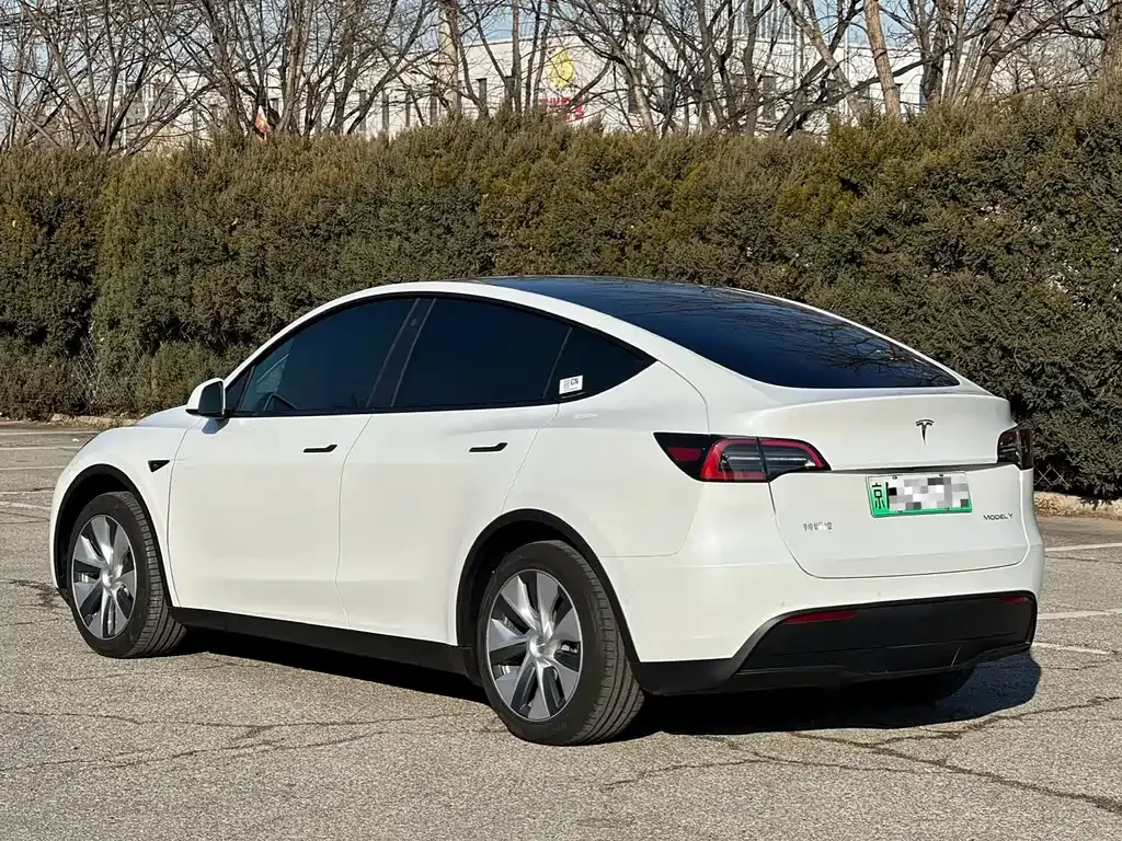 Tesla Model Y — фото 10