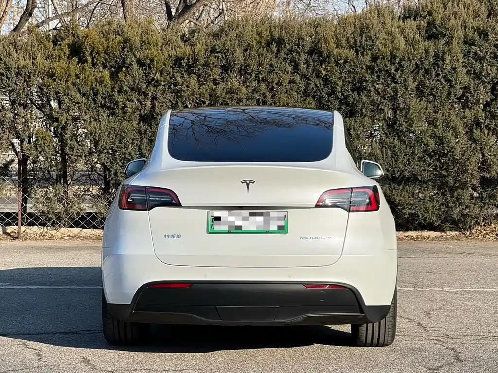Tesla Model Y — фото 4