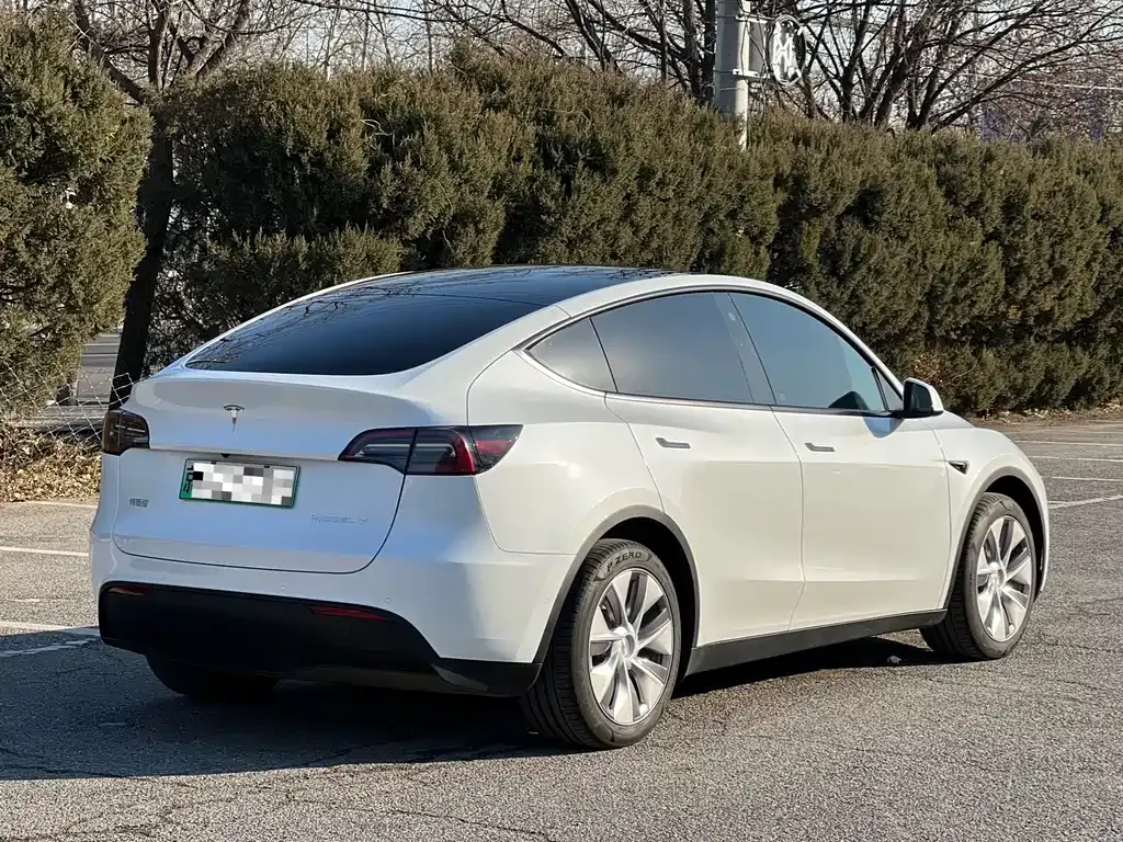 Tesla Model Y — фото 8