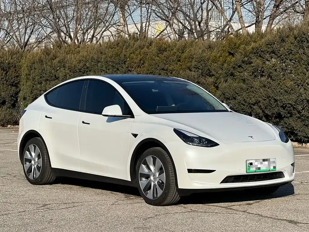 Tesla Model Y — фото 3