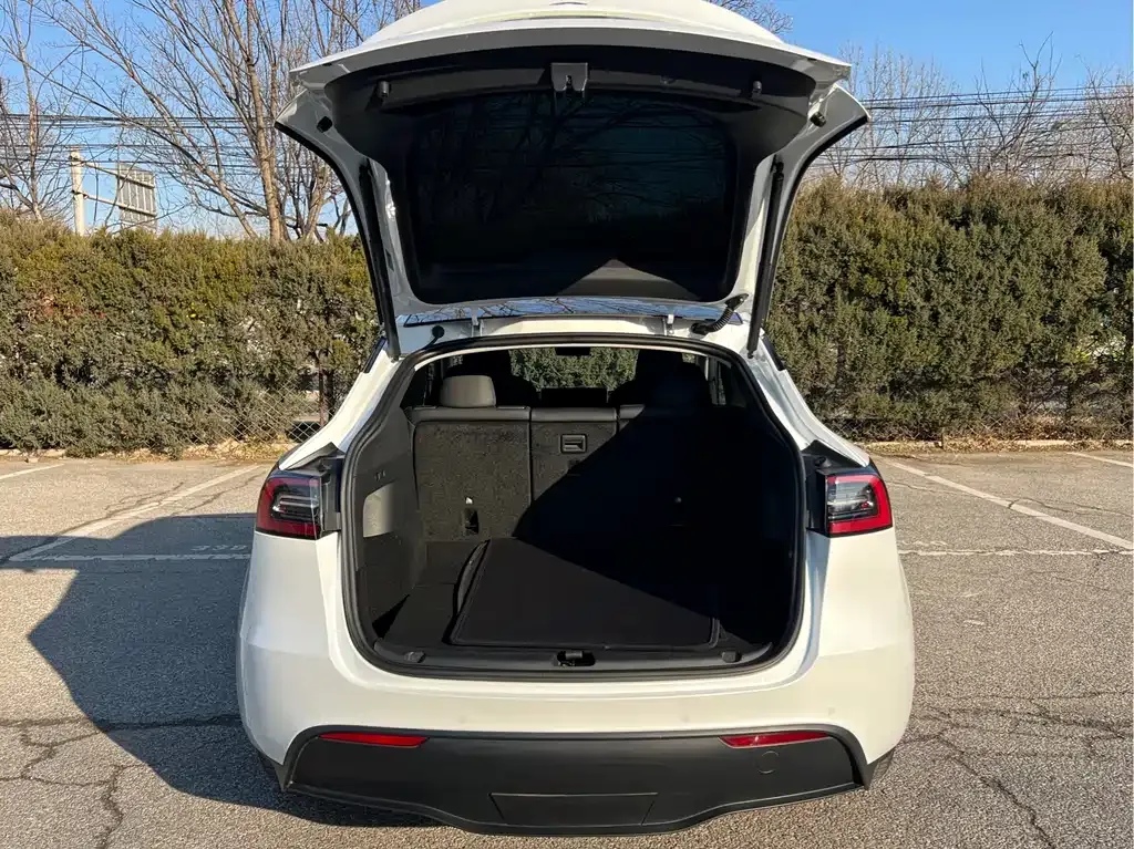 Tesla Model Y — фото 5
