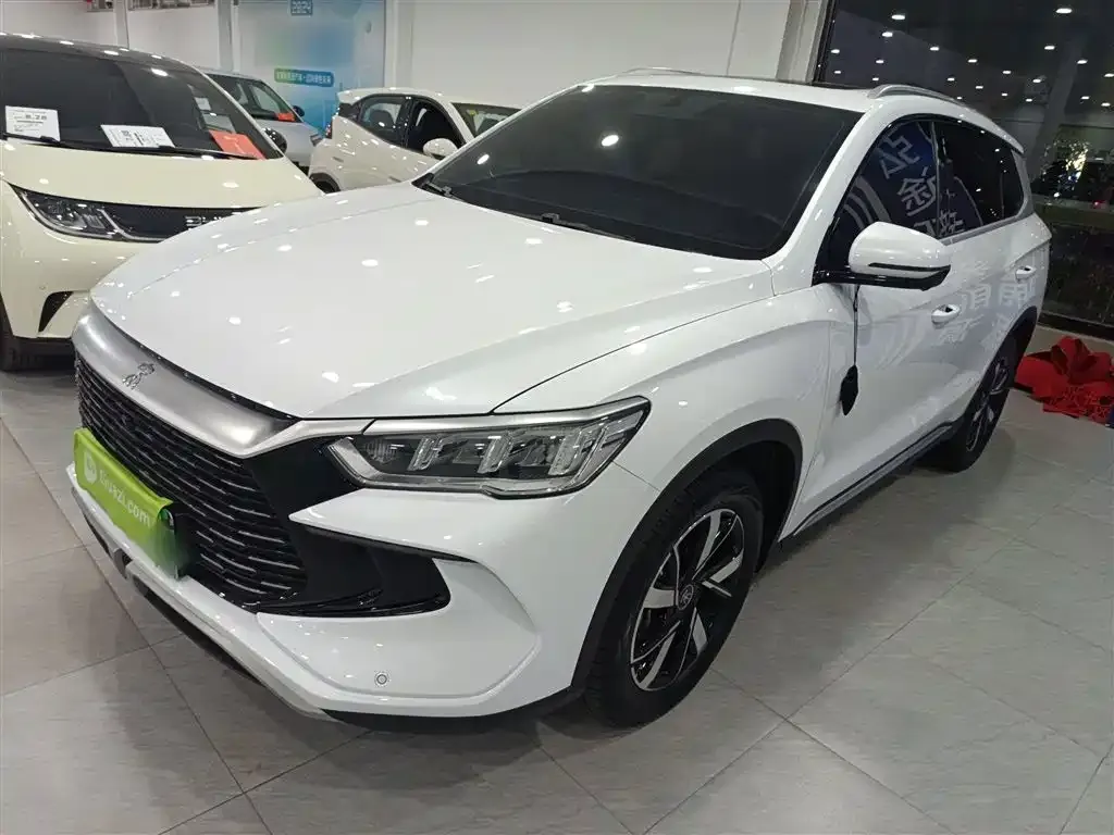 BYD Pro New Energy 2024 из CN, фото 1