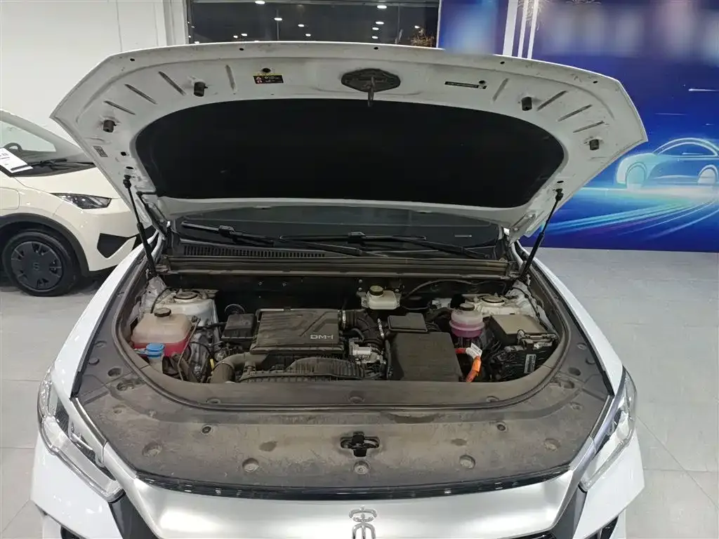 BYD Pro New Energy 2024 из CN, фото 8