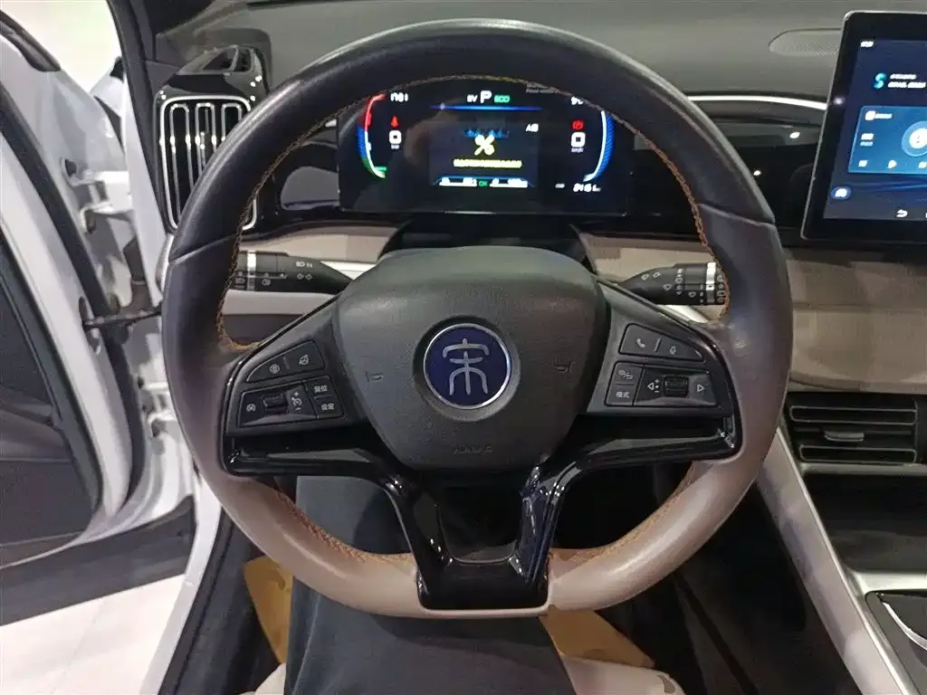 BYD Pro New Energy 2024 из CN, фото 6